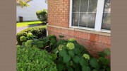 RemRy Gutter Cleaning