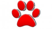 GUTTERDOGS Affordable Soft Power Washing & Safe Roof Cleaning Maryland