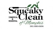 Squeaky Clean Of Memphis