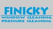 Finicky Window Cleaning