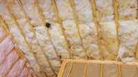 Jupiter Insulation Services