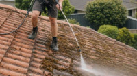 Roof Cleaning